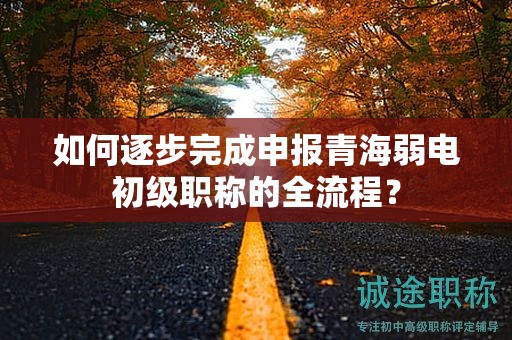 如何逐步完成申报青海弱电初级职称的全流程？