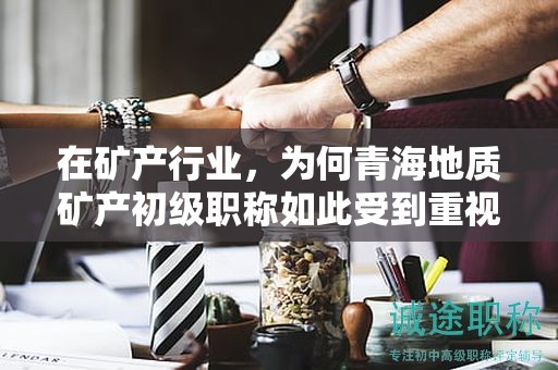 在矿产行业，为何青海地质矿产初级职称如此受到重视？