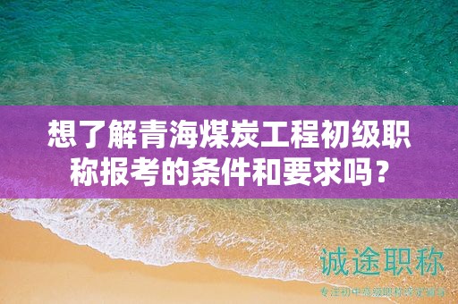 想了解青海煤炭工程初级职称报考的条件和要求吗？