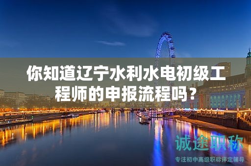 你知道辽宁水利水电初级工程师的申报流程吗？