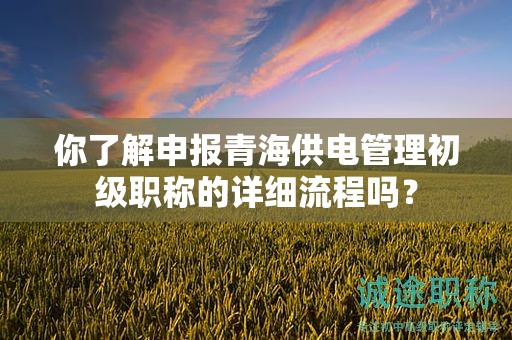 你了解申报青海供电管理初级职称的详细流程吗？