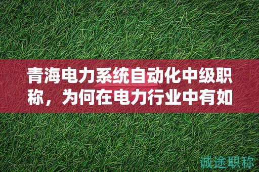 青海电力系统自动化中级职称，为何在电力行业中有如此重要的用途？