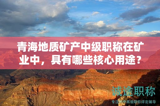 青海地质矿产中级职称在矿业中，具有哪些核心用途？