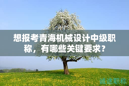 想报考青海机械设计中级职称，有哪些关键要求？