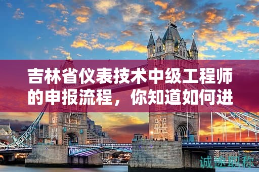 吉林省仪表技术中级工程师的申报流程，你知道如何进行吗？