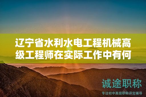 辽宁省水利水电工程机械高级工程师在实际工作中有何用途？