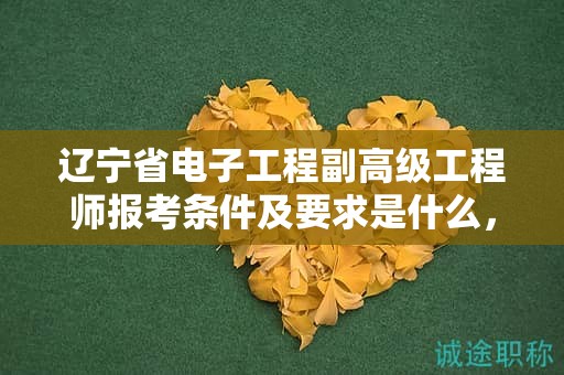 辽宁省电子工程副高级工程师报考条件及要求是什么，如何一次成功报名？
