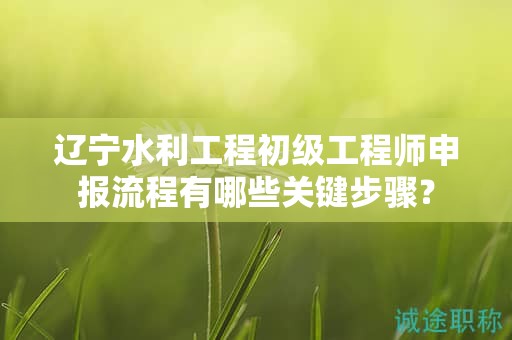 辽宁水利工程初级工程师申报流程有哪些关键步骤？