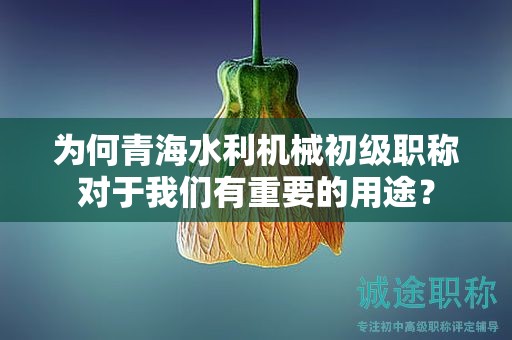 为何青海水利机械初级职称对于我们有重要的用途？