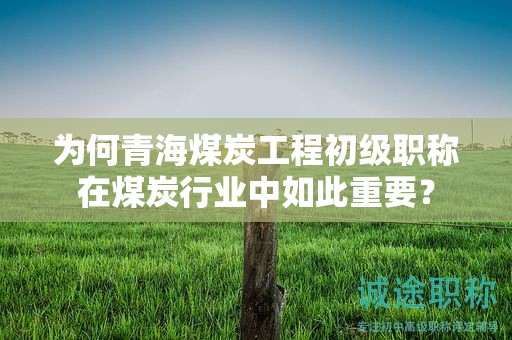 为何青海煤炭工程初级职称在煤炭行业中如此重要？