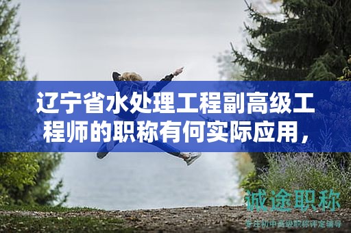辽宁省水处理工程副高级工程师的职称有何实际应用，它能为职业生涯加分吗？