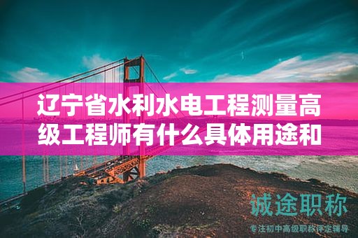 辽宁省水利水电工程测量高级工程师有什么具体用途和职责？