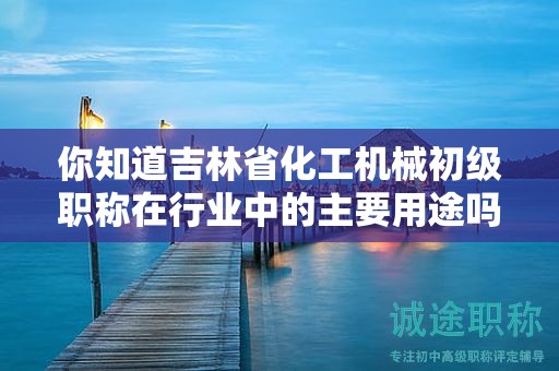 你知道吉林省化工机械初级职称在行业中的主要用途吗？