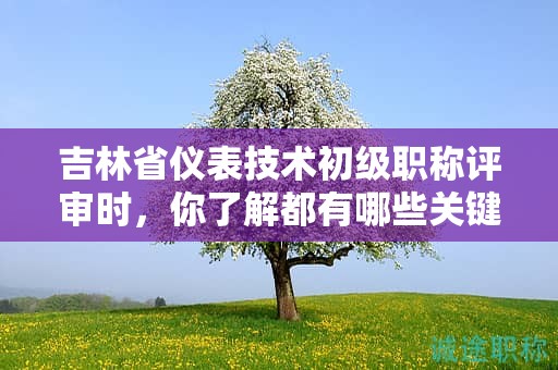 吉林省仪表技术初级职称评审时，你了解都有哪些关键条件吗？
