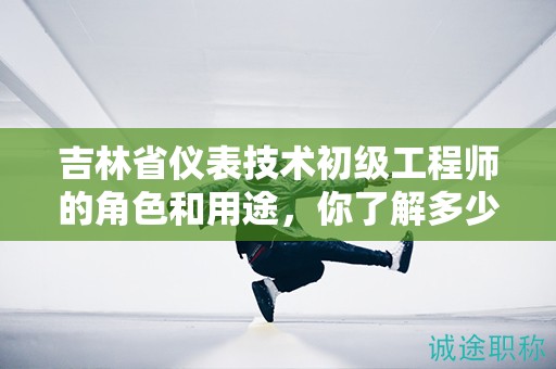 吉林省仪表技术初级工程师的角色和用途，你了解多少？