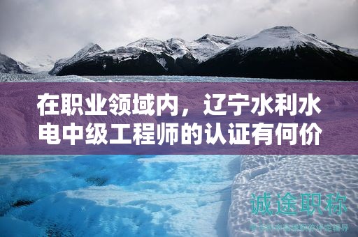 在职业领域内，辽宁水利水电中级工程师的认证有何价值？