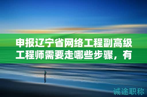 申报辽宁省网络工程副高级工程师需要走哪些步骤，有何注意事项？
