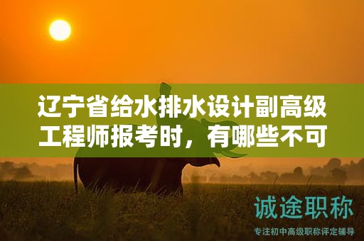 辽宁省给水排水设计副高级工程师报考时，有哪些不可忽视的条件和要求？