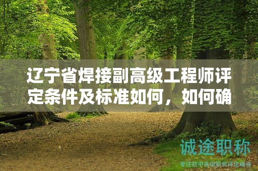 辽宁省焊接副高级工程师评定条件及标准如何，如何确保达标？