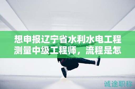 想申报辽宁省水利水电工程测量中级工程师，流程是怎样的？