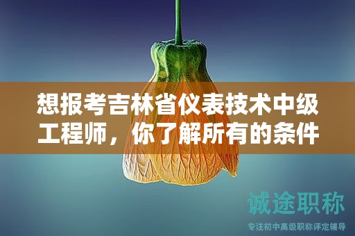 想报考吉林省仪表技术中级工程师，你了解所有的条件和要求吗？