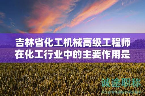 吉林省化工机械高级工程师在化工行业中的主要作用是什么？