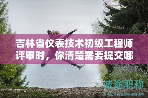 吉林省仪表技术初级工程师评审时，你清楚需要提交哪些条件和材料吗？