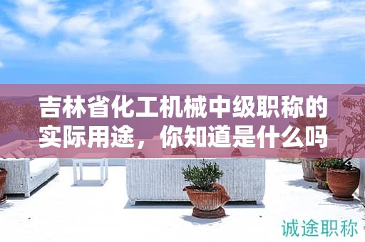 吉林省化工机械中级职称的实际用途，你知道是什么吗？