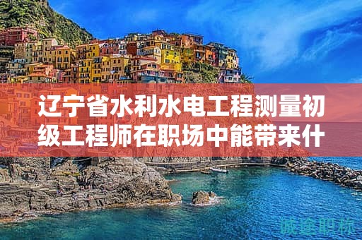辽宁省水利水电工程测量初级工程师在职场中能带来什么价值？