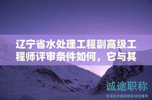 辽宁省水处理工程副高级工程师评审条件如何，它与其他工程师评审有何不同？