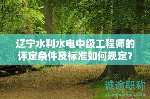 辽宁水利水电中级工程师的评定条件及标准如何规定？