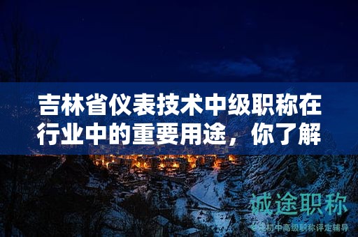 吉林省仪表技术中级职称在行业中的重要用途，你了解吗？