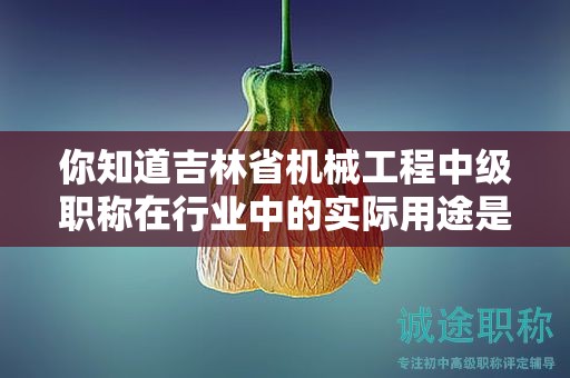 你知道吉林省机械工程中级职称在行业中的实际用途是什么吗？