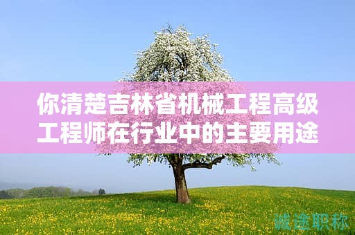 你清楚吉林省机械工程高级工程师在行业中的主要用途吗？