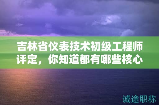 吉林省仪表技术初级工程师评定，你知道都有哪些核心标准吗？
