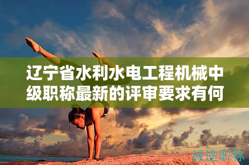 辽宁省水利水电工程机械中级职称最新的评审要求有何变化，如何应对？
