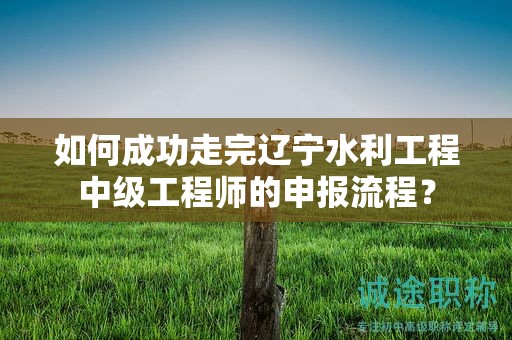 如何成功走完辽宁水利工程中级工程师的申报流程？