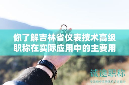 你了解吉林省仪表技术高级职称在实际应用中的主要用途吗？