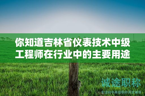 你知道吉林省仪表技术中级工程师在行业中的主要用途是什么吗？