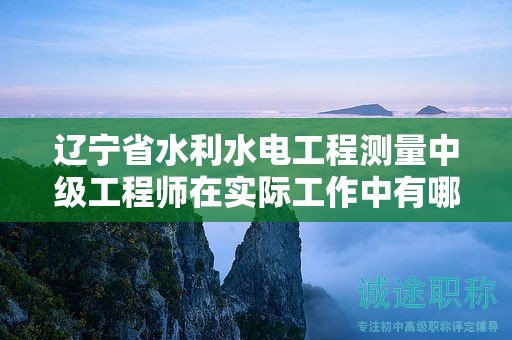 辽宁省水利水电工程测量中级工程师在实际工作中有哪些重要作用？