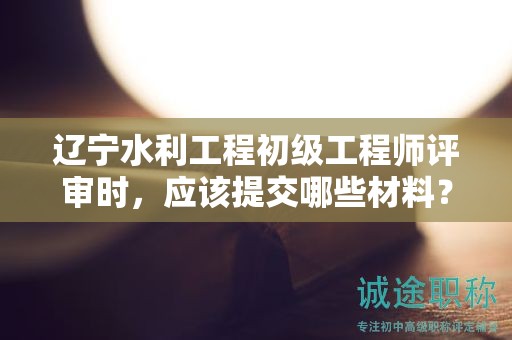 辽宁水利工程初级工程师评审时，应该提交哪些材料？