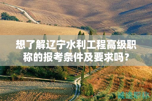 想了解辽宁水利工程高级职称的报考条件及要求吗？