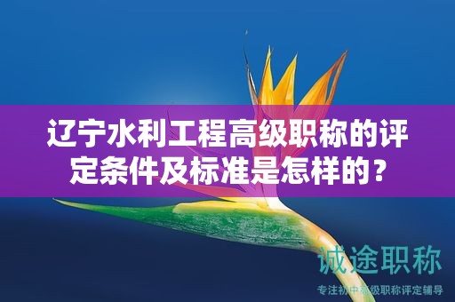 辽宁水利工程高级职称的评定条件及标准是怎样的？