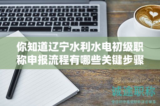 你知道辽宁水利水电初级职称申报流程有哪些关键步骤吗？