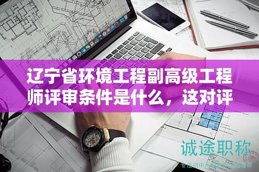 辽宁省环境工程副高级工程师评审条件是什么，这对评审结果影响大吗？