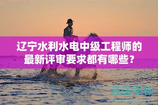 辽宁水利水电中级工程师的最新评审要求都有哪些？