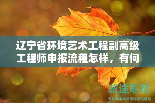 辽宁省环境艺术工程副高级工程师申报流程怎样，有何关键环节需要注意？