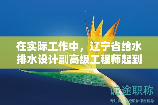 在实际工作中，辽宁省给水排水设计副高级工程师起到了哪些核心作用？