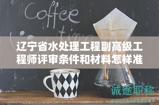 辽宁省水处理工程副高级工程师评审条件和材料怎样准备，以确保无遗漏？