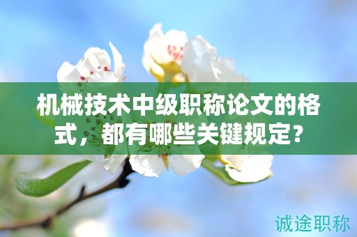 机械技术中级职称论文的格式，都有哪些关键规定？